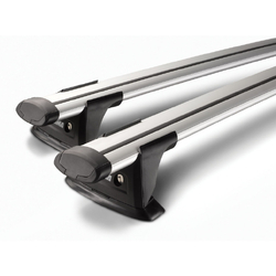 ThruBar 120cm Silver Pair (S16Y)