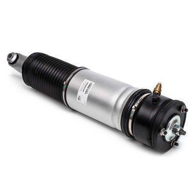 Rear RH Air Strut - To Suit BMW 7 Series (E65/E66) 01-08 W/out EDC 2001-08 - Standard Height