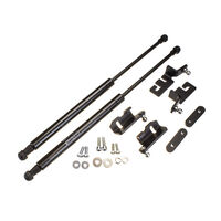 Bonnet Strut Kit for Nissan Navara D40 & Pathfinder R51