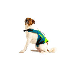 Jobe Pet Life Jackets- Lime Teal