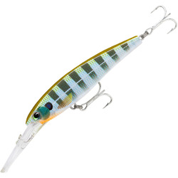 Rapala Saltwater X-Rap Deep 11cm Bluegill