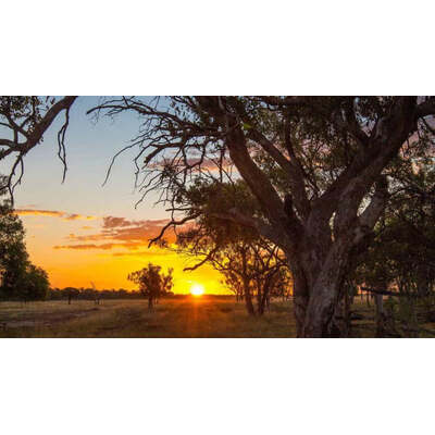 Australian Geographic Travel Guide : Outback Queensland