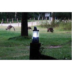 Coleman Lantern Easy Hang (Lithium Ion)