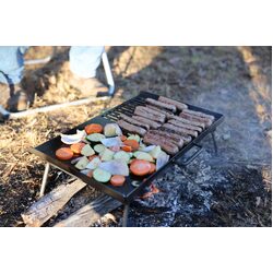 Collapsible BBQ Plate