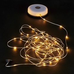 Loomie Line String Lights