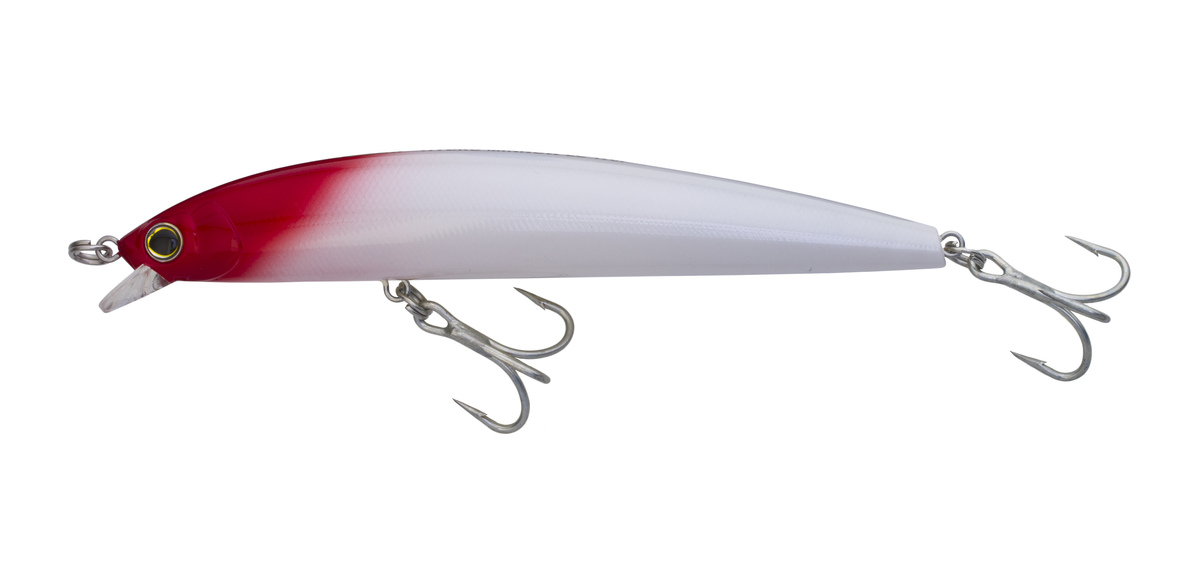 CAST PTYD Popper Lure