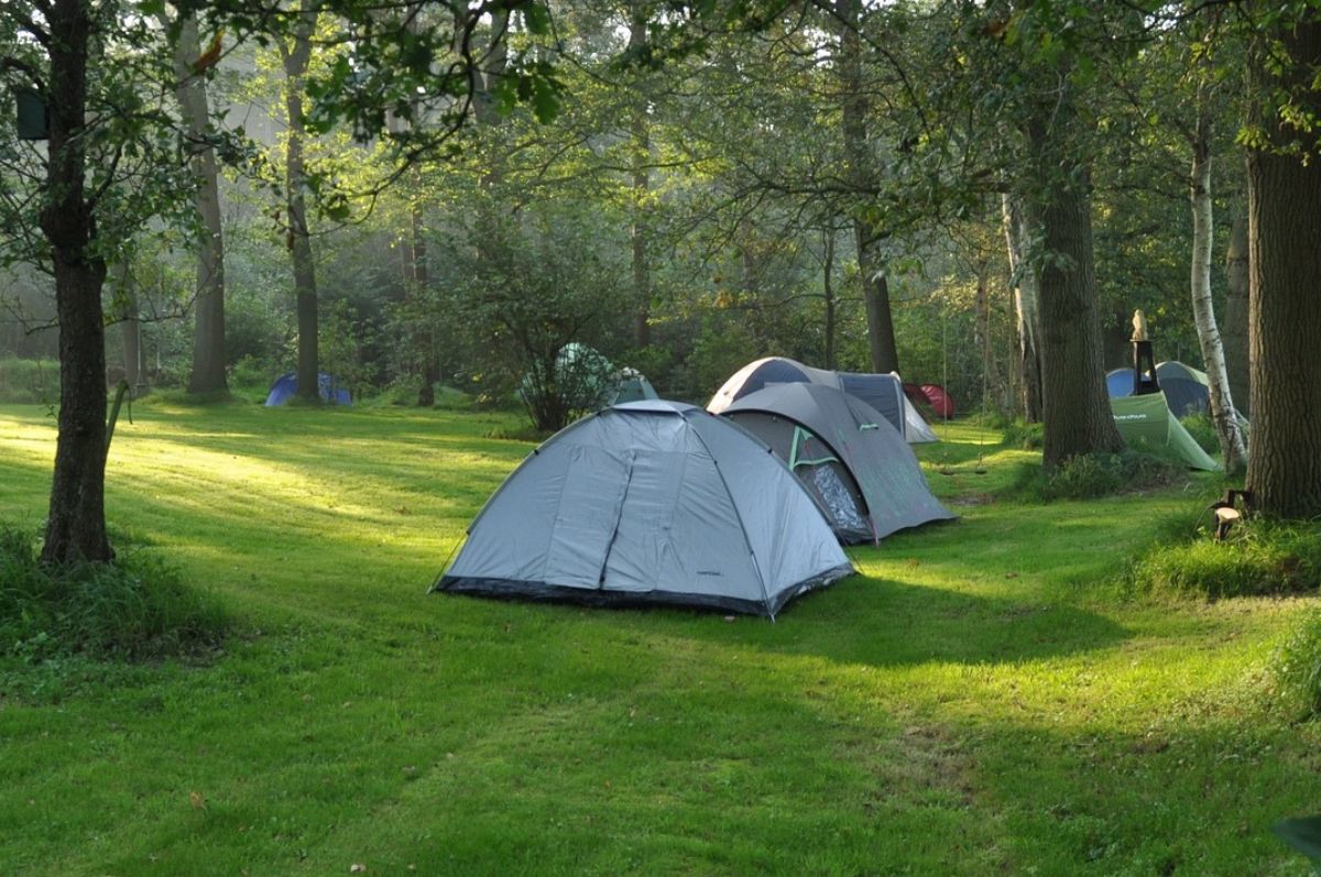 tents in nature