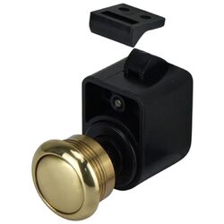 Lacquered Brass Push Button Door Set