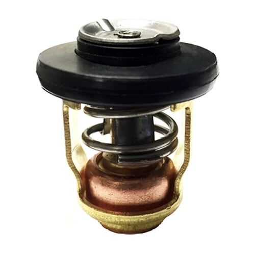 Sierra Thermostat Yamaha 50C