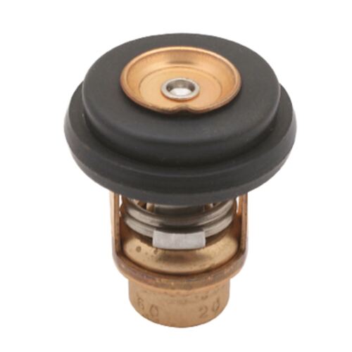 Sierra Thermostat Kit Mercury