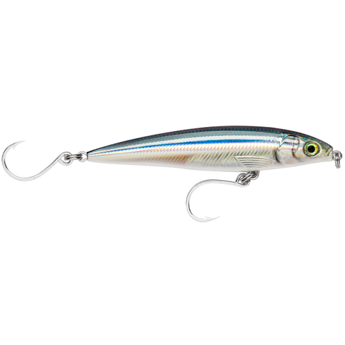 Rapala X-Rap Long Cast Shallow 12cm Anchovy