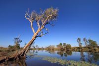 Outback Equipment’s Ultimate Freshwater Fishing Guide